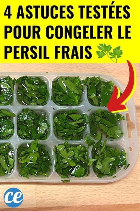 Comment Congeler Le Persil Pour Le Conserver Frais Pendant Des Mois