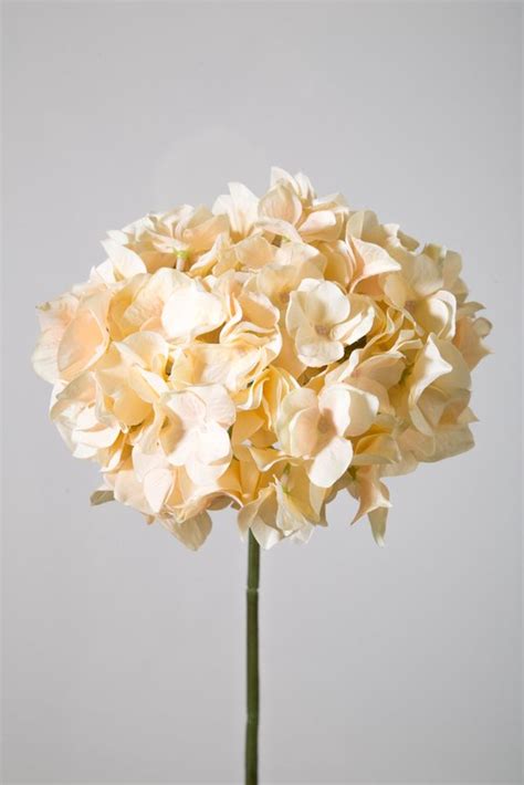 Kunstbloem Hortensia Topkwaliteit Decoratie Peach Zalm Zijden Tak