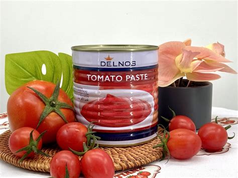 Canned Tomato Paste Brix 22 24 800g850g Available Tomato Paste