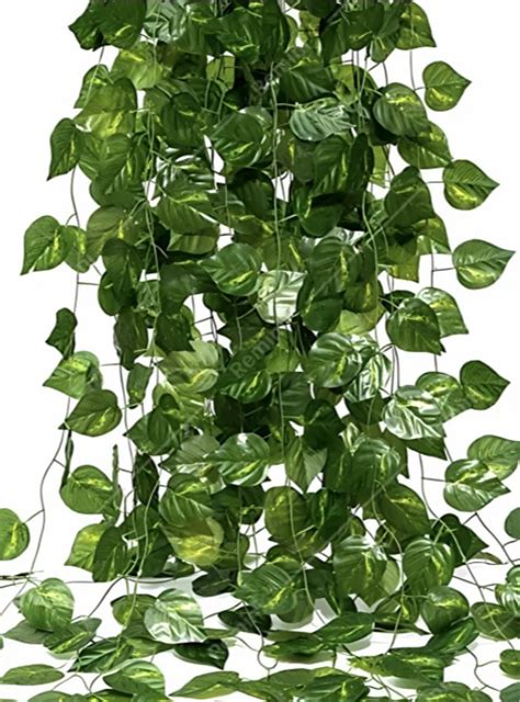 Green Plastic Artificial Creeper Plant Size 5 Ft At Rs 175 In New Delhi