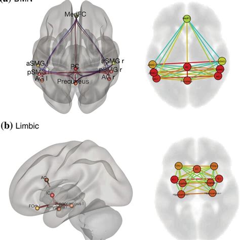 The Nine Nodes For The Default Mode Network Dmn A And Limbic Download Scientific Diagram