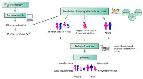 Nutrients Free Full Text Sex And Gender Differences On The Impact