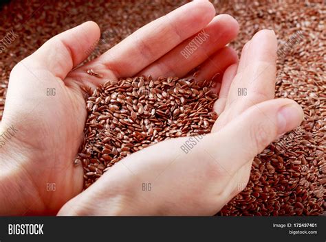 Flax Seeds Hands Woman Image And Photo Free Trial Bigstock