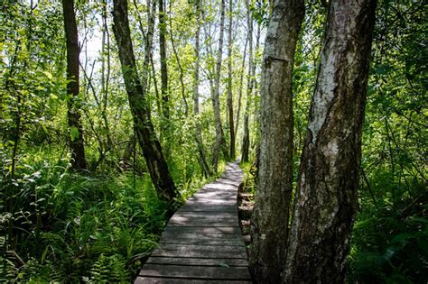 Wakacje Z Parkiem Czyli Jak Zwiedza Poleski Park Narodowy