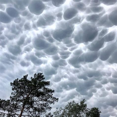 Вымеобразные облака (72 фото)