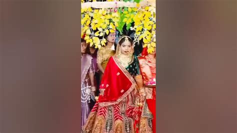 Jaimala Special Video Short Shorts Wedding Jaimala Treanding Youtube