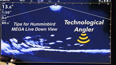 Tips For Humminbird MEGA Live Imaging Down Mode The Technological