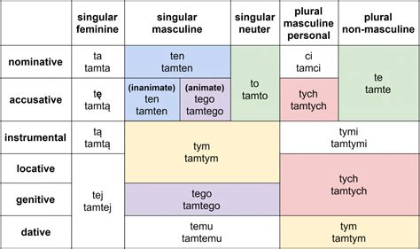 Polish demonstrative pronouns complete declension - Clozemaster Blog