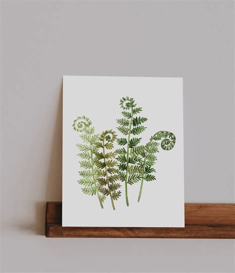 Green Fiddlehead Fern 11x14 And 8x10 Four Fronds Giclee Print Watercolor