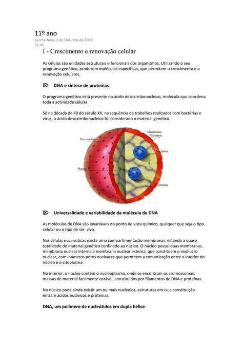 Resumos De Biologia De Ano Pdf