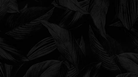 Black Leaf Hd Wallpaper Botanical Premium Photo Rawpixel