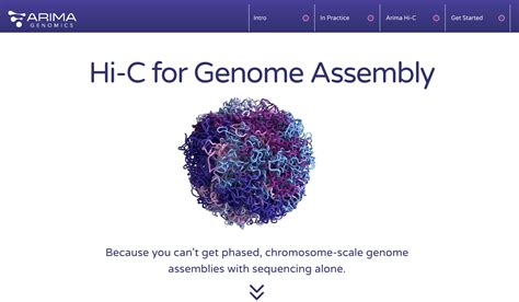 Hi C For Genome Assembly Ebook Arima Genomics