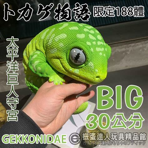 【扭蛋達人】限定188體 Gekkonidae ヤモリ物語 巨大mrga 30公分大雕像 守宮 現貨特價 露天市集 全台最大的網路購物市集