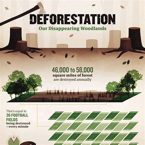 The Negative Impacts Of Deforestation Infographic For Full View Search Deforest On Our Site