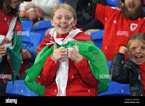 Welsh Football Supporters At Cardiff City Stadium A Young Female Fan