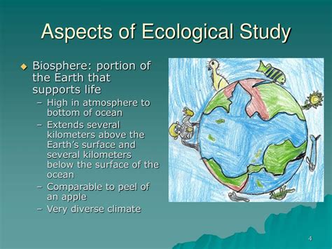 PPT Chapter 2 Principles Of Ecology PowerPoint Presentation Free