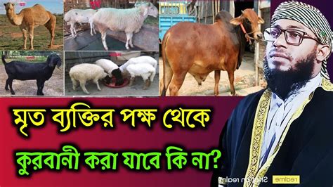 মৃত ব্যক্তির পক্ষ থেকে কুরবানী করা যাবে কি না কুরবানির সঠিক নিয়ম