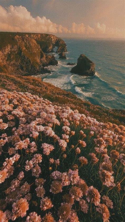 🔥 [20+] Vintage Aesthetic Landscape Wallpapers | WallpaperSafari