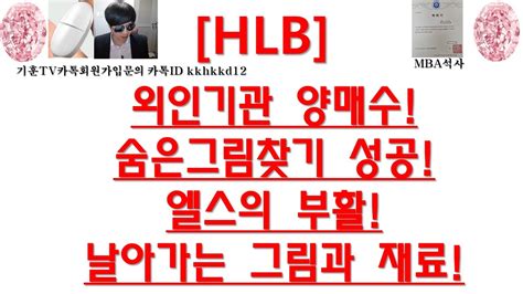 주식투자 Hlb외인기관 양매수숨은그림찾기 성공엘스의 부활날아가는 그림과 재료 Youtube