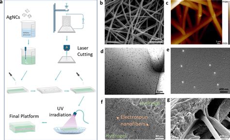 Characterization Of The Electrospun Nanofibers And Nanostructured