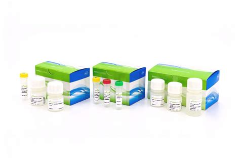 KAPA HyperPrep Kit Roche Sequencing Store