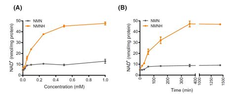 New Nad Precursor Is Reduced Nmn Nmnh 10 Times More Potent Than