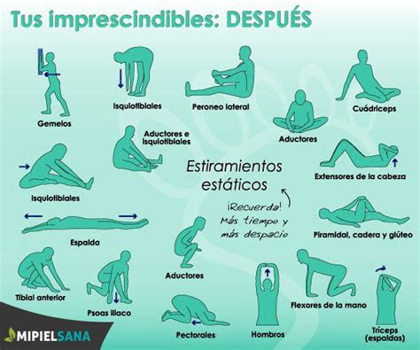 Las Diferencias Entre Estiramientos Estáticos Y Dinámicos Estiramientos Ejercicios De