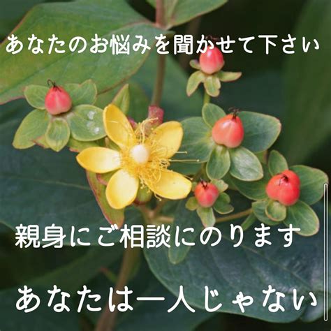 大切なあなたの心を軽くするお手伝いをします ヒーリングサロンでカウンセリングをしてきた私とお話しましょう 心の悩み相談 ココナラ