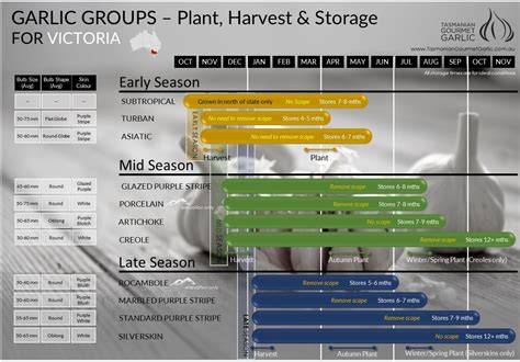 Planting, Harvest & Storage Charts ⋆ Tasmanian Gourmet Garlic ...