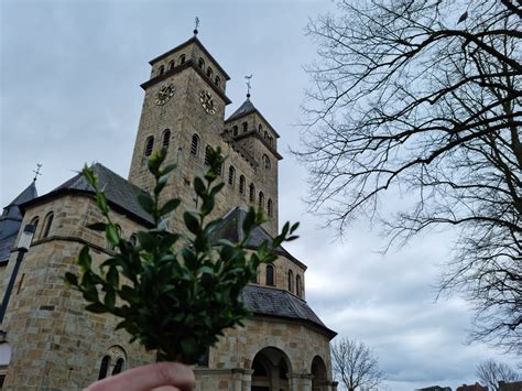 Deckensch Den In Der Herz Jesu Kirche Alles Detten