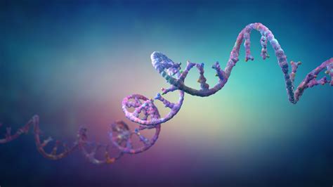 Real Rna Strand