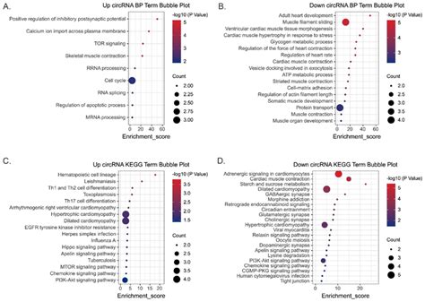 Gene Ontology Go Functional And Kyoto Encyclopedia Of Genes And