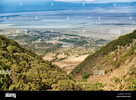 View From The Rim Into The Ngorongoro Crater Ngorongoro Conservation