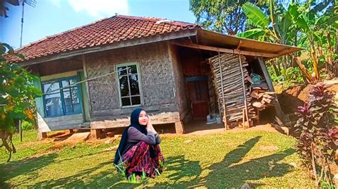 BIKIN BETAH RUMAH TERPENCIL PINGGIR SAWAH ATAS BUKIT PELOSOK