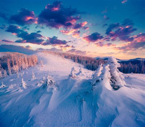 Manhã Colorida Do Inverno Nas Montanhas Carpathian Foto de Stock