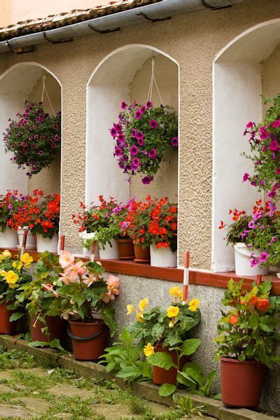 Banco de Imágenes Plantas y flores en el jardín de la hacienda Bahçe