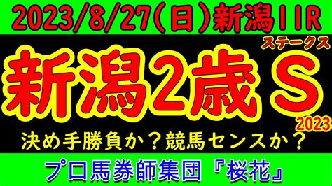 新潟2歳ステークス2023レース競馬予想！今年は新馬勝ちした馬が9頭と素質の高い馬が集まったレースとなりそうでプロ馬券師集団桜花が出走馬の中で