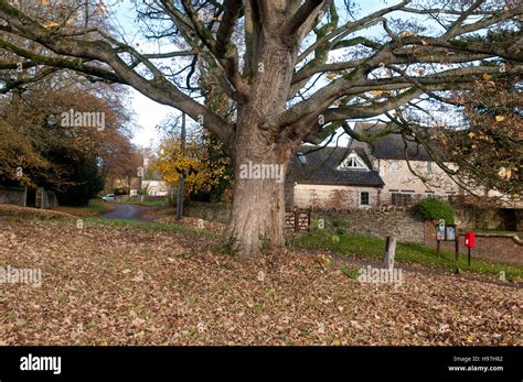 Hinton In The Hedges Hi Res Stock Photography And Images Alamy