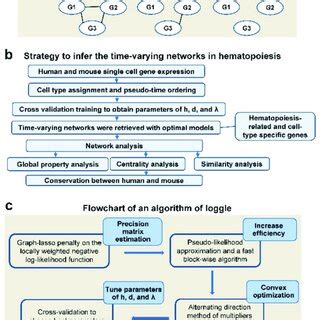 A Hypothetical Model Of Three Genes Expression Patterns With