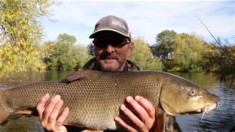 Big River Barbel Fishing On The Mid Trent Youtube