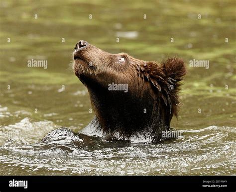 Tierpark Hagenbeck Hi Res Stock Photography And Images Alamy