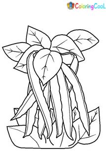 Cashew Nut And Chestnut Coloring Pages Coloring Cool