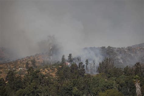 Incendio forestal en Lebu sería intencional ya ha consumido más de 40