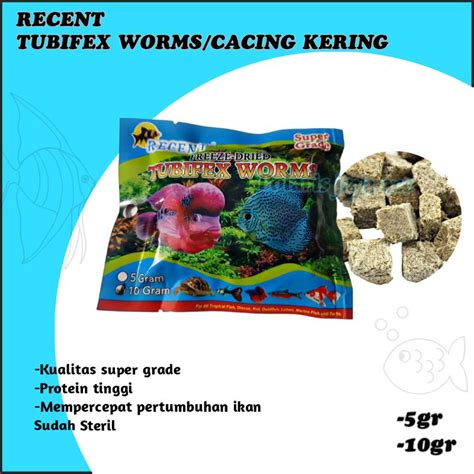 Jual Cacing Kering Tubifex Worms Recent Pakan Ikan Hias Aquarium