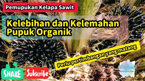 Berhitung Kelebihan Dan Kekurangan Pupuk Organik Untuk Kelapa Sawit