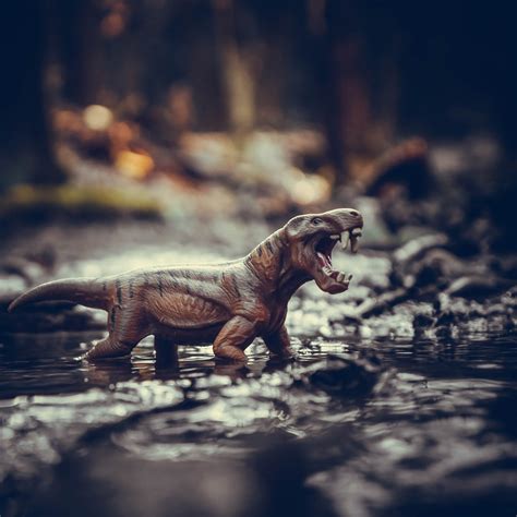 Dinosaurier Wild Das Tier Kostenloses Foto Auf Pixabay Pixabay