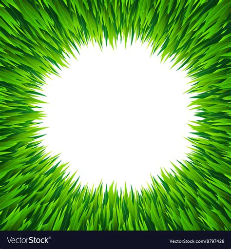 Green Grass Royalty Free Vector Image Vectorstock