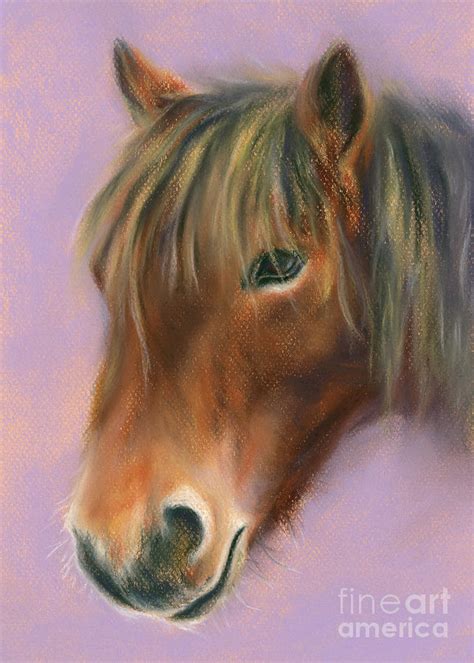 Shaggy Brown Pony Painting By Mm Anderson Fine Art America
