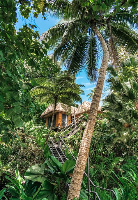 Most Magical Treehouse Hotels In The World Matangi Private Island