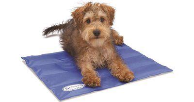 Scruffs Cool Mat -Blue - Manor Equestrian